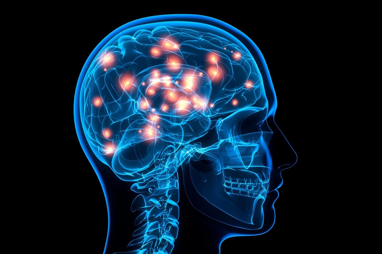 Brain activity and neural connections